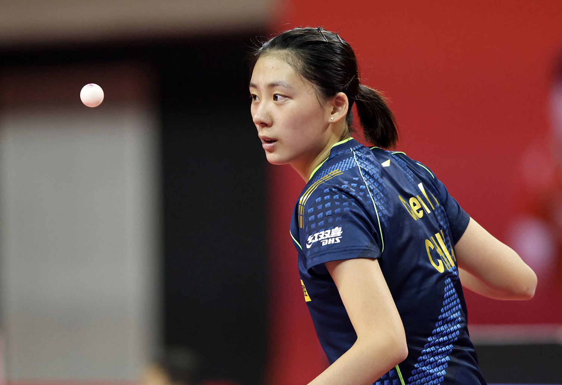 也显现了斯 也显现了斯