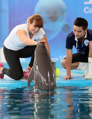 球变速打破 球变速打破